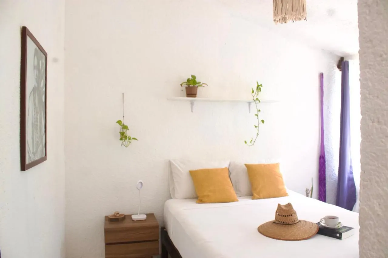 Casa Del Artista - B&B Playa del Carmen Mexique
