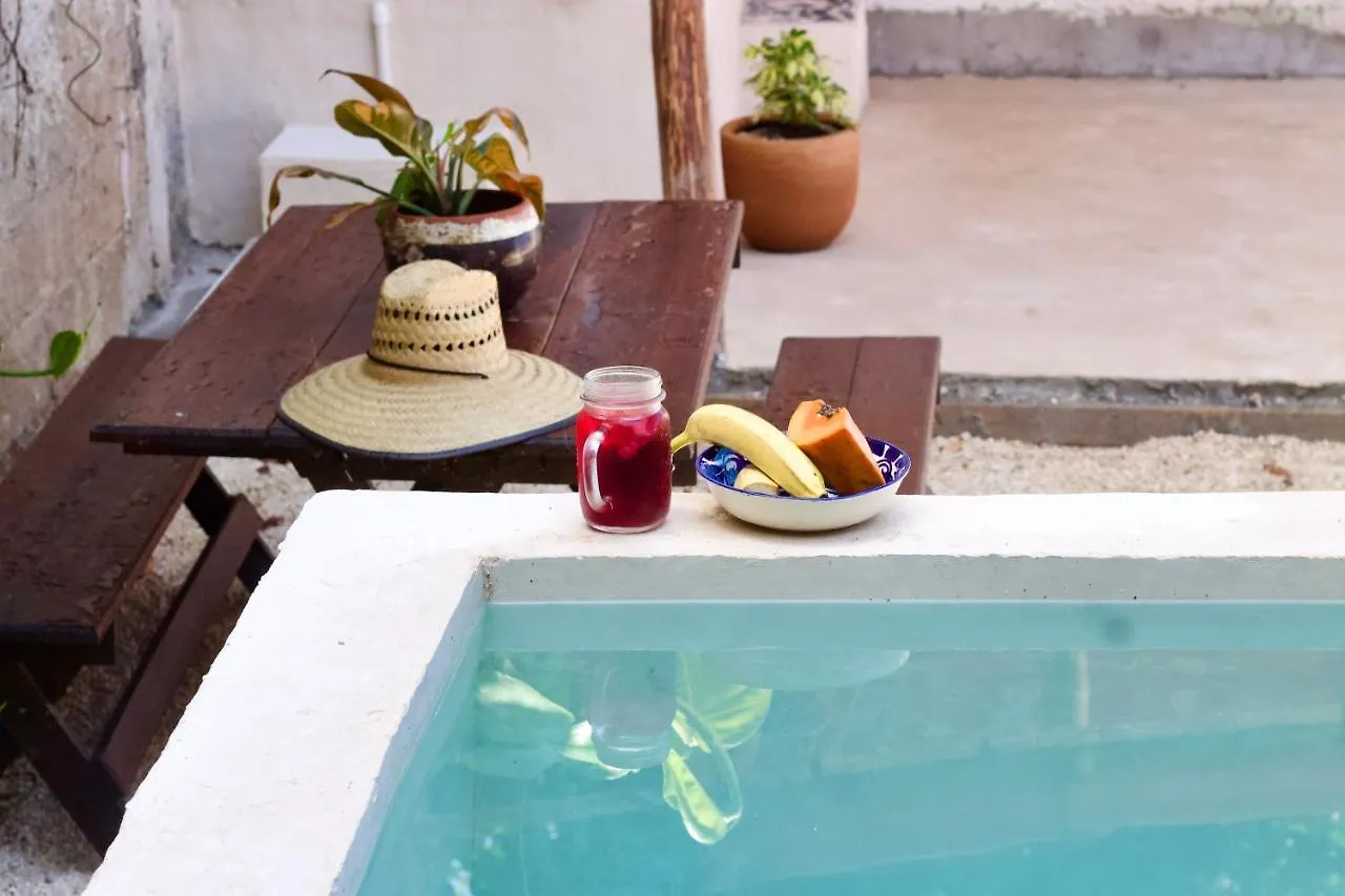 Bed and breakfast Casa Del Artista - B&B Playa del Carmen