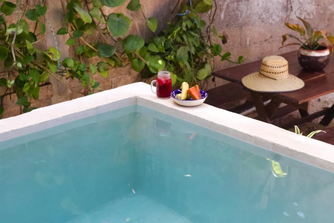 Casa Del Artista - B&B Playa del Carmen México