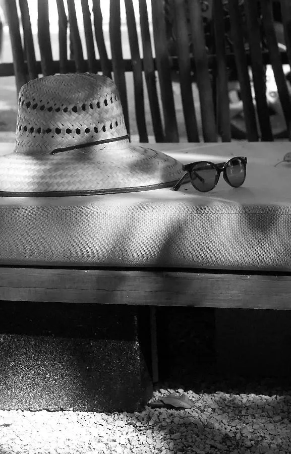 Bed and breakfast Casa Del Artista - B&B Playa del Carmen